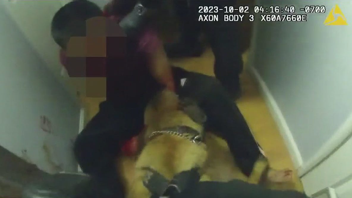 Man attacked by San Jose police K-9 files lawsuit
